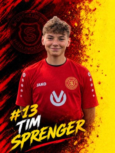 Tim Maximilian Sprenger