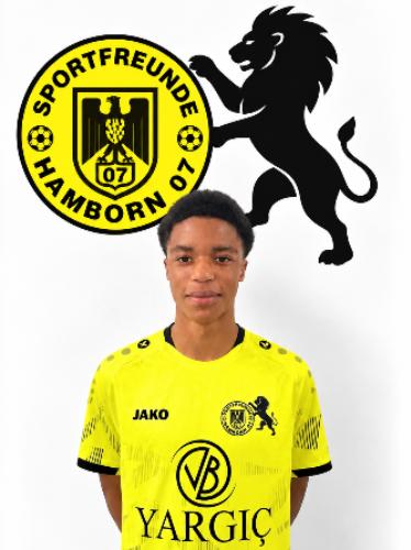 Bronson Osasere Amadin