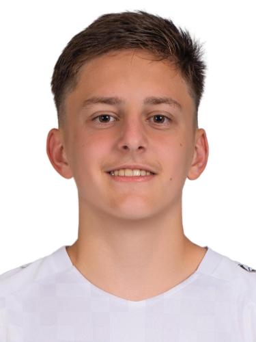 Tarik Brkic