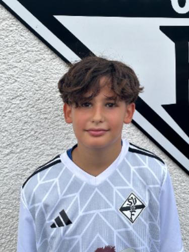 Milan Tokay