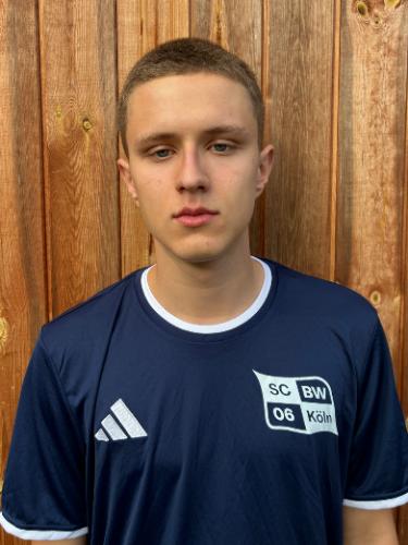 Pavle Cvetkovic
