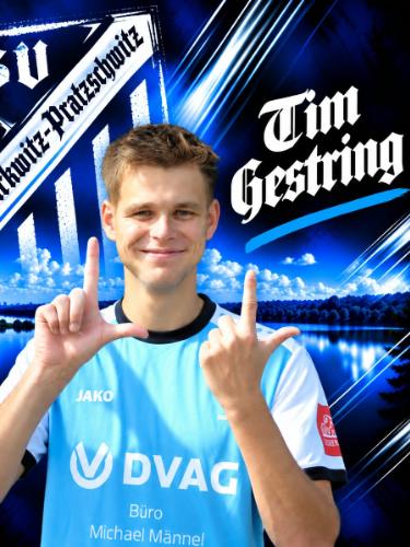 Tim Gestring