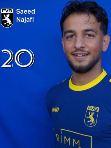 Saeed Najafi