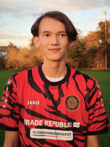 Fabian Phong Rheinheimer