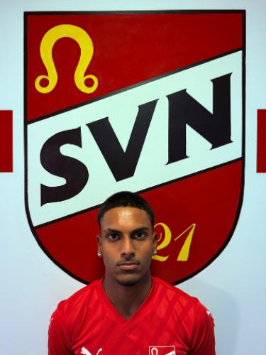Vidul Silva