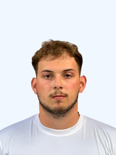Luca Justino Dominic Ferreira