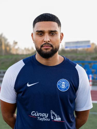 Arian Talamisi