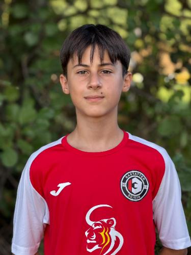 Hamza Muminovic