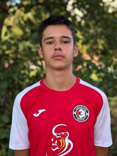 Leonardo Polisini