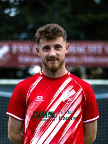 Dominik Vincent Hansen