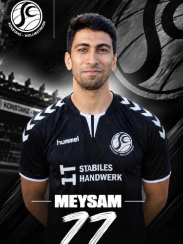 Meysam Mahdavi