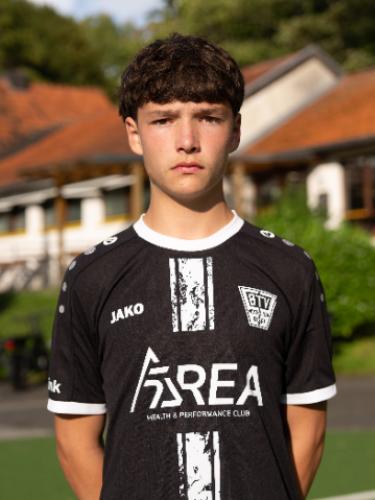 Hannes Arens