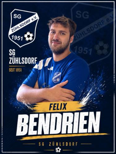 Felix Bendrien
