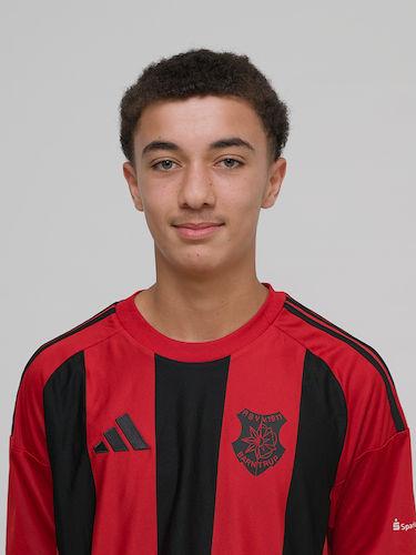 David Bergmann