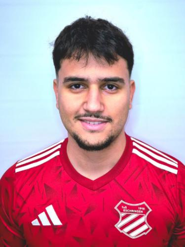 Ermin Alibasic