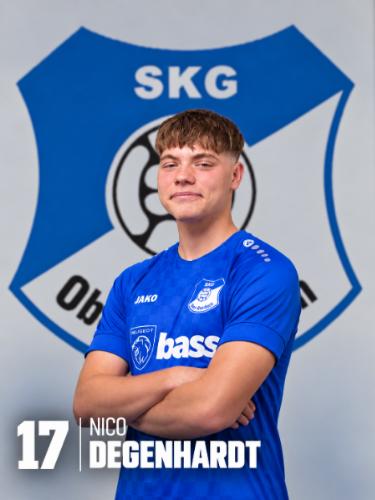 Nico Degenhardt
