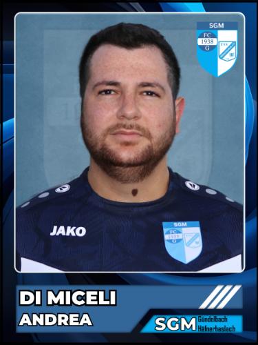 Andrea di Miceli