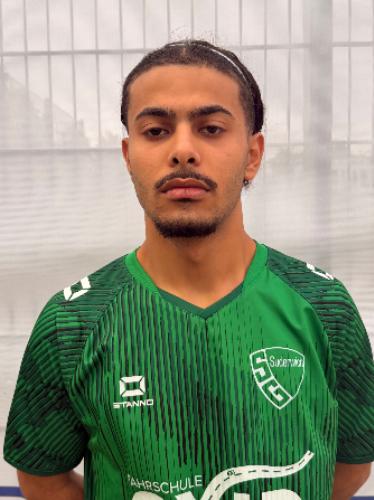 Mahmud Al Ali