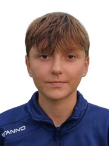Daris Zejnilovic