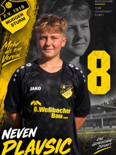 Neven Plavsic