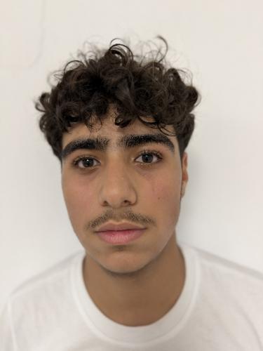 Ahmad Shamout