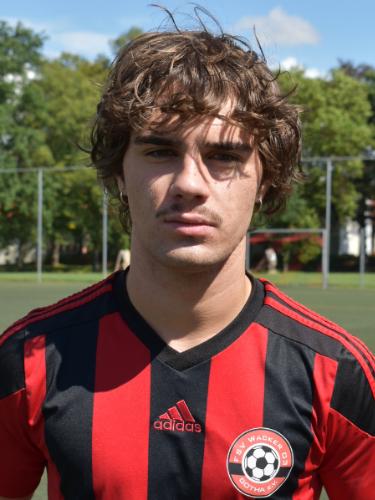 Gregor Frank