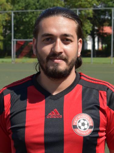Georgian-Armando Simin