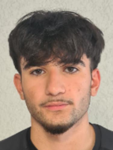 Mehmet Han Gökce