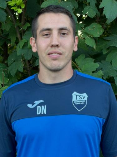 Daniel Nellinger