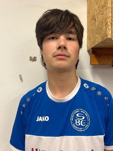Willi Heuwes