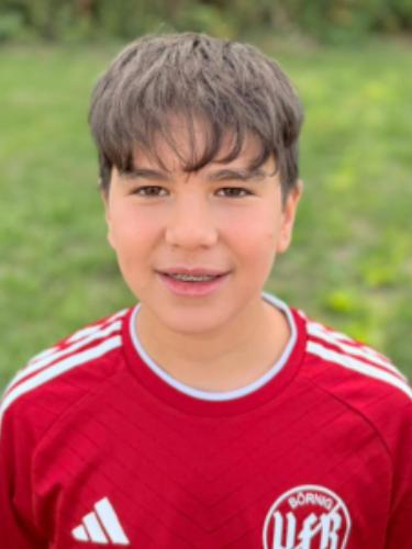 Altay Ergül
