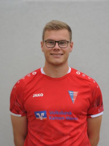 Henrik Pollak