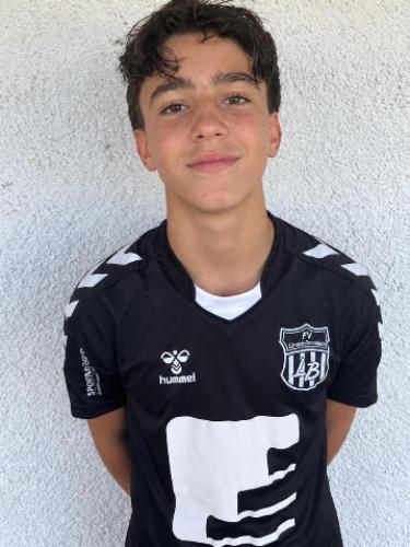 Miguel Gomes De Azevedo