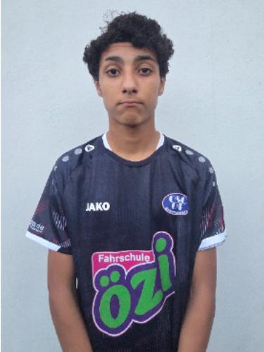 Hussein Algary