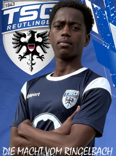Walid Ahmed Mohamednur