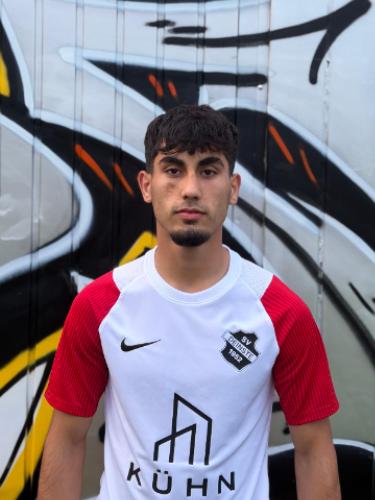 Mohammad Al-Hassan