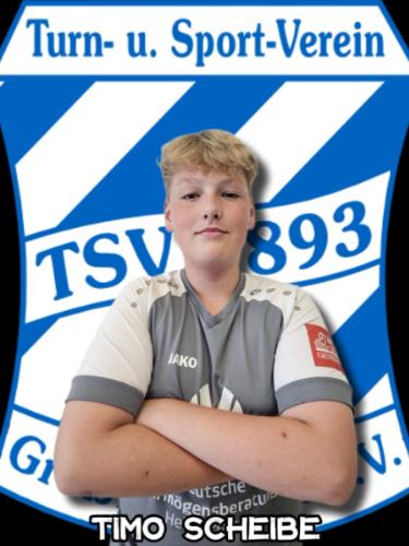 Timo Scheibe