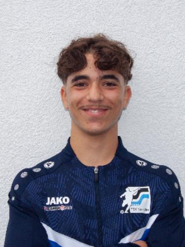 Diego Goncalves-Alihi