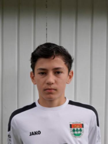 Dardan Meholli
