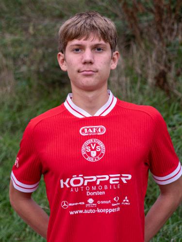 Artur Shapovalov