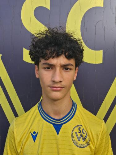 Elias Sabani