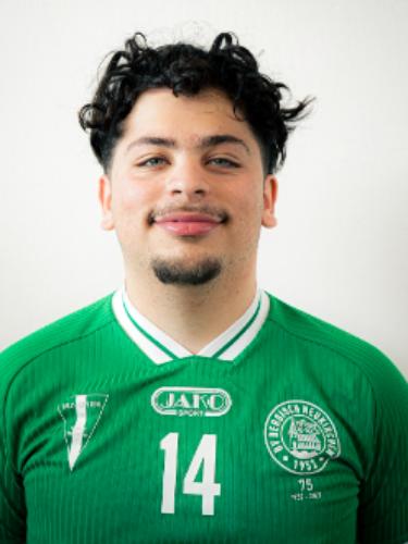 Elmedin Osmani