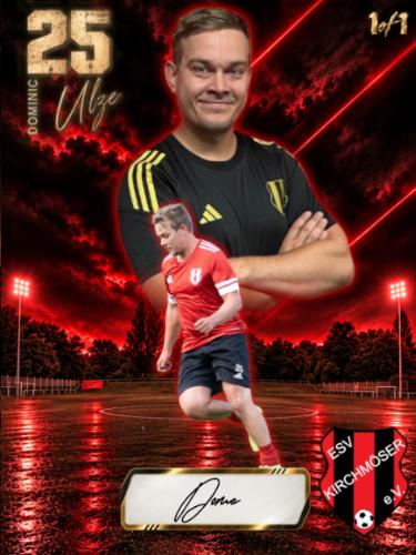 Dominic Ulze