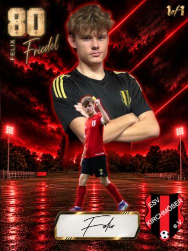 Felix Friedel