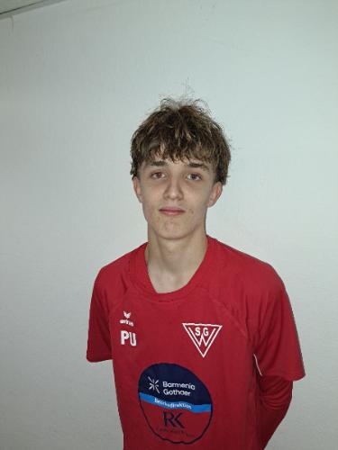 Paul Uhlmann