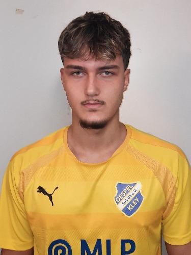 Dzenis Becic