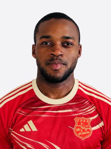 Mohamed Lamine Mansour Camara