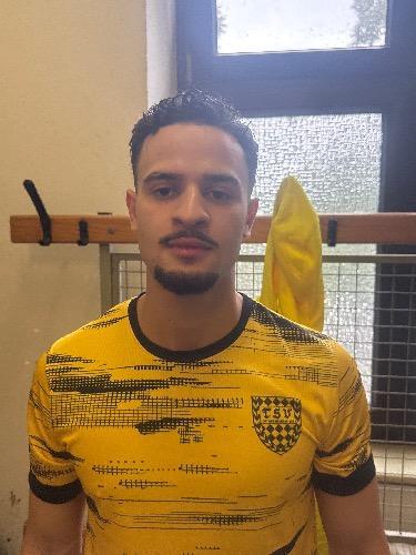 Walid Teich