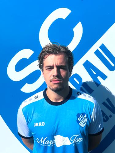 Theo Martens