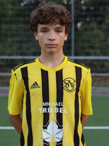 Ricardo-Daniel Pascalau